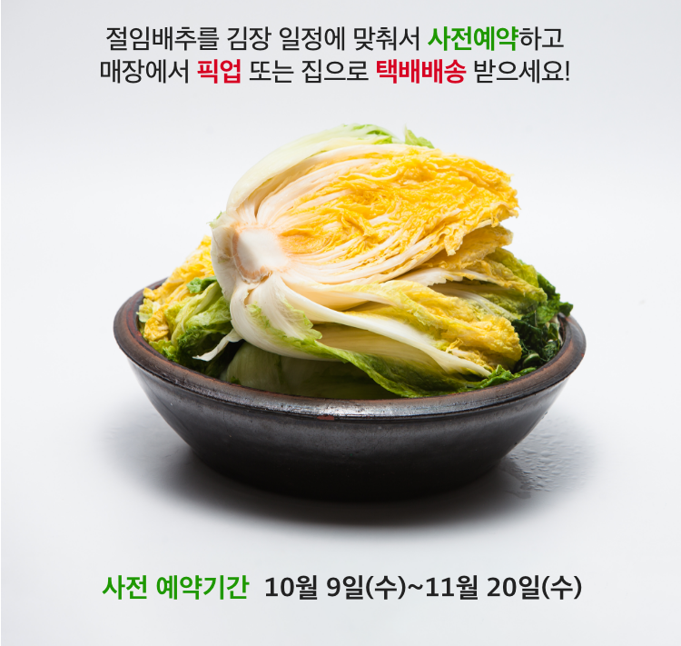 홈플러스 절임배추 사전예약