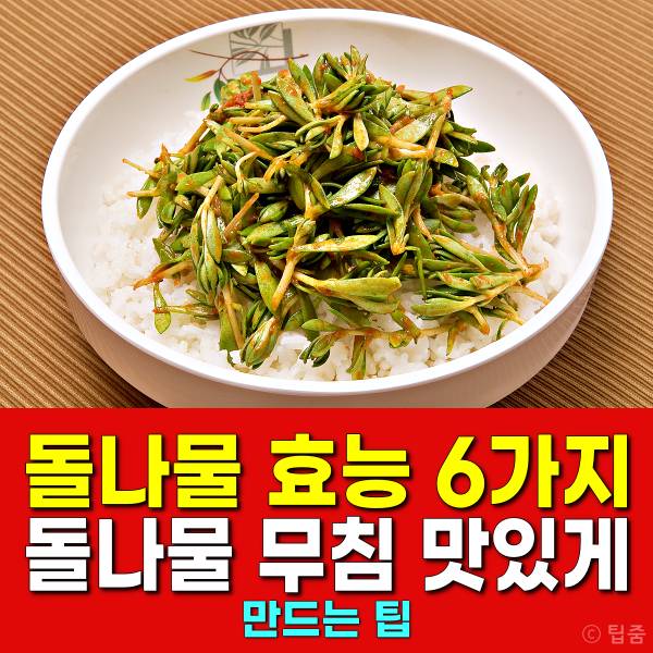 돌나물 효능,돌나물 무침 맛있게 만드는 법