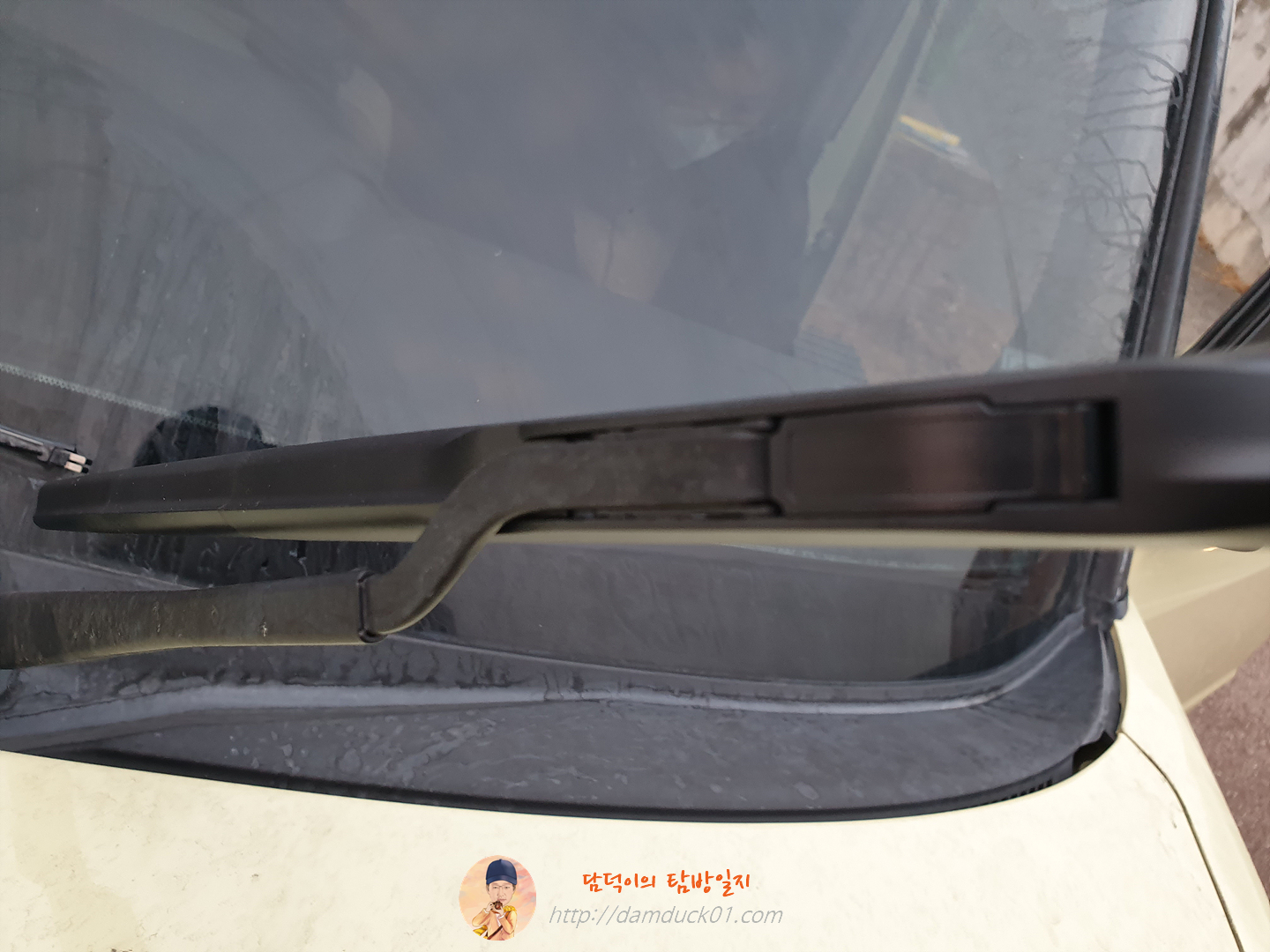 와이퍼 셀프 교체