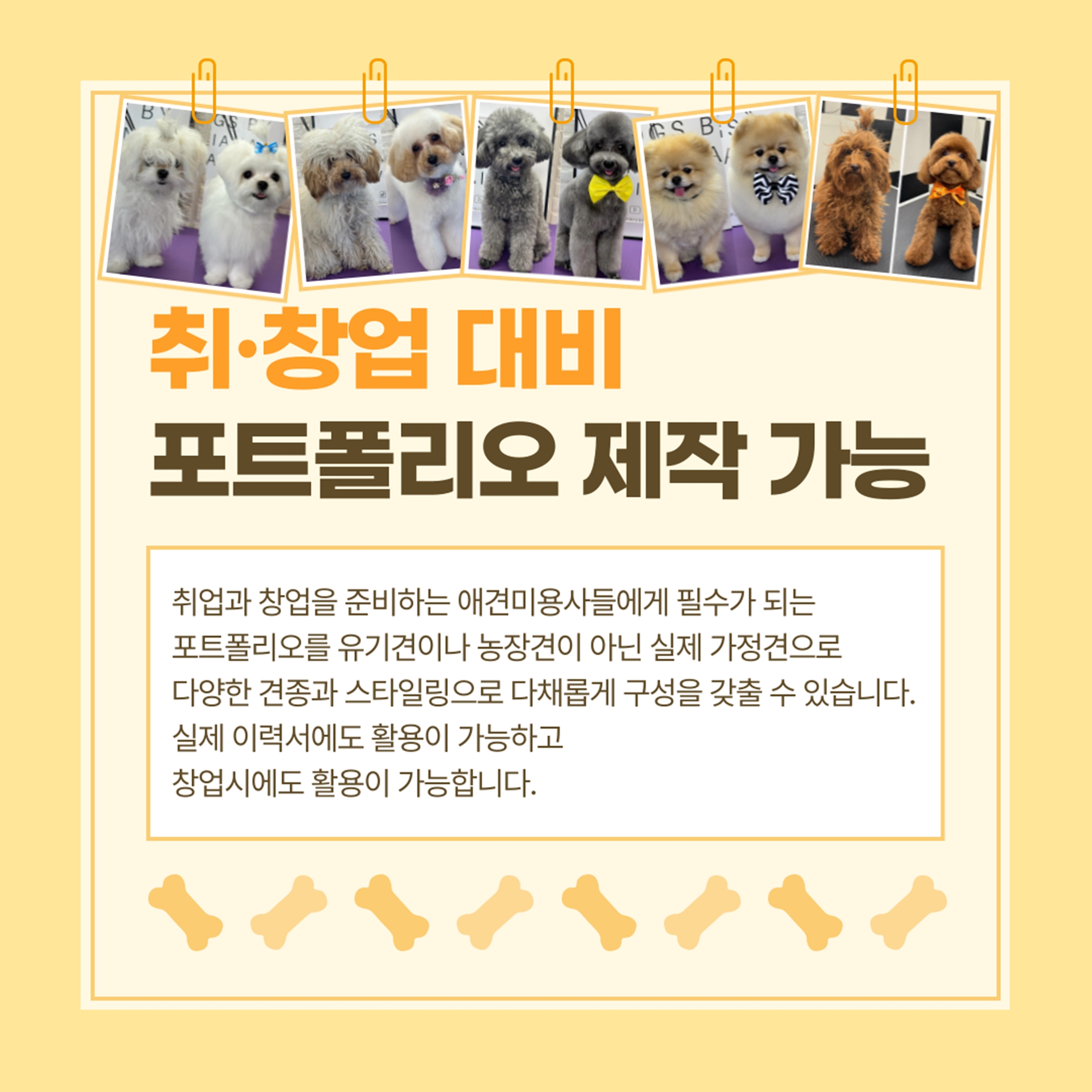 애견미용학원국비지원