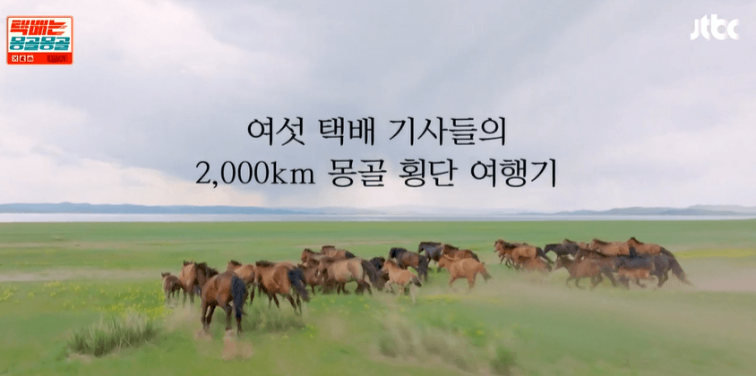 택배는 몽골몽골 출연진