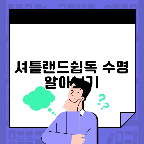 셔틀랜드쉽독 수명 알아보기