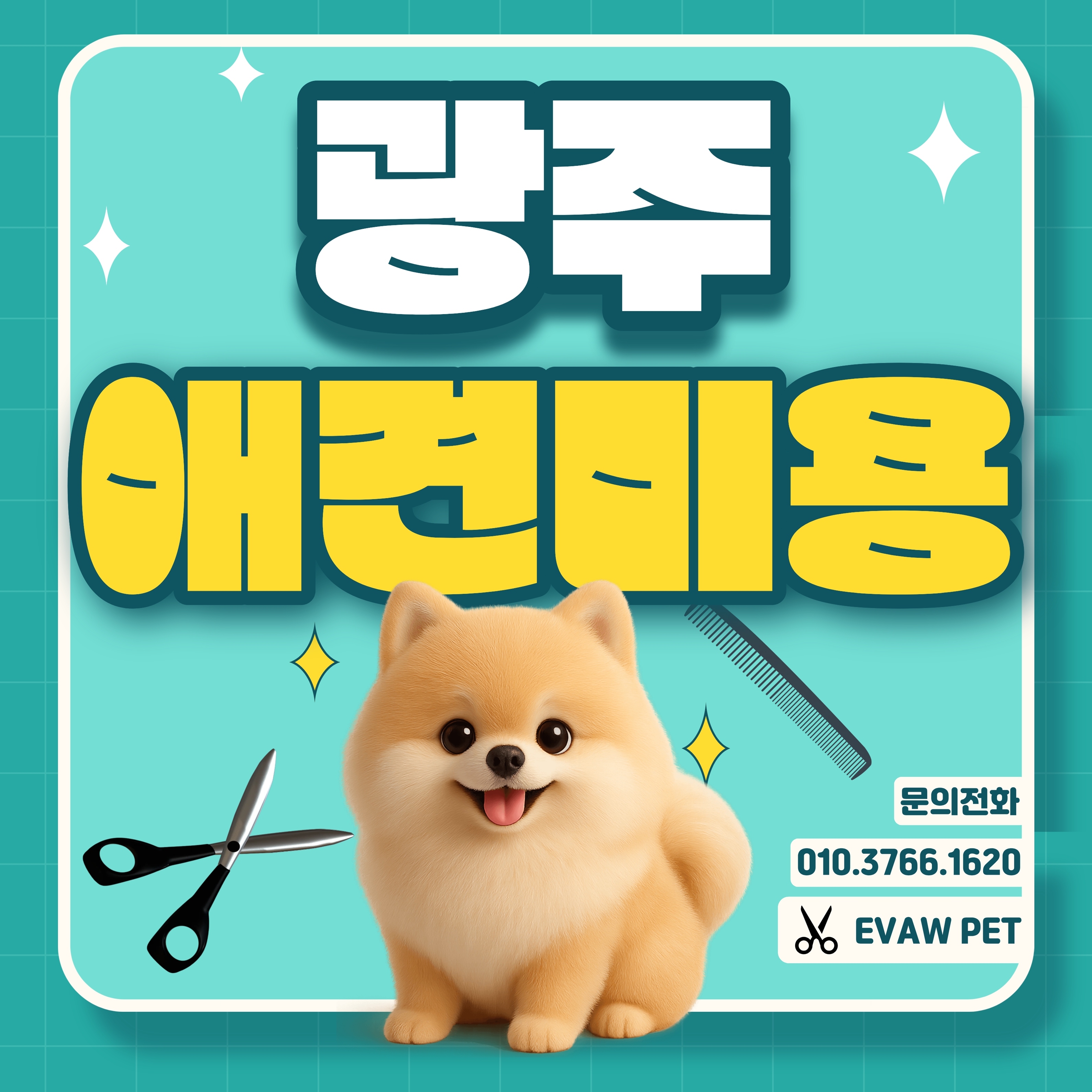 광주강아지미용학원