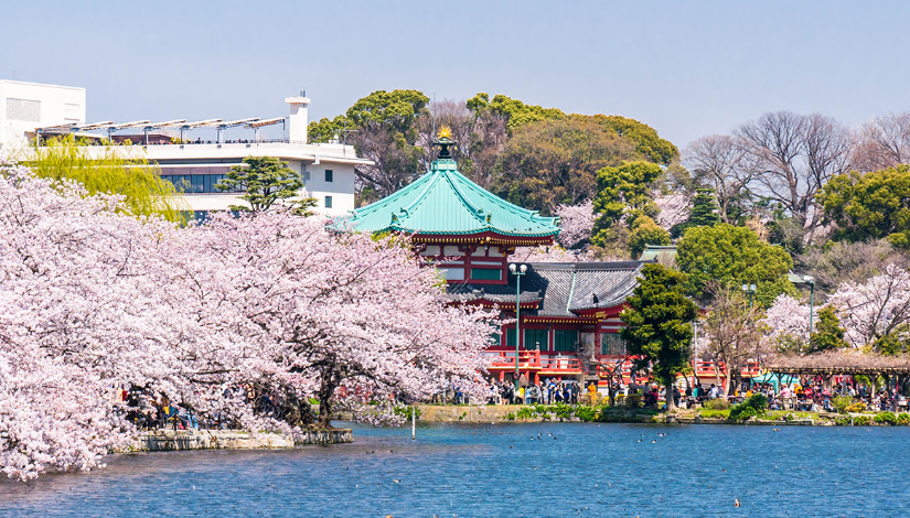 도쿄 여행 코스