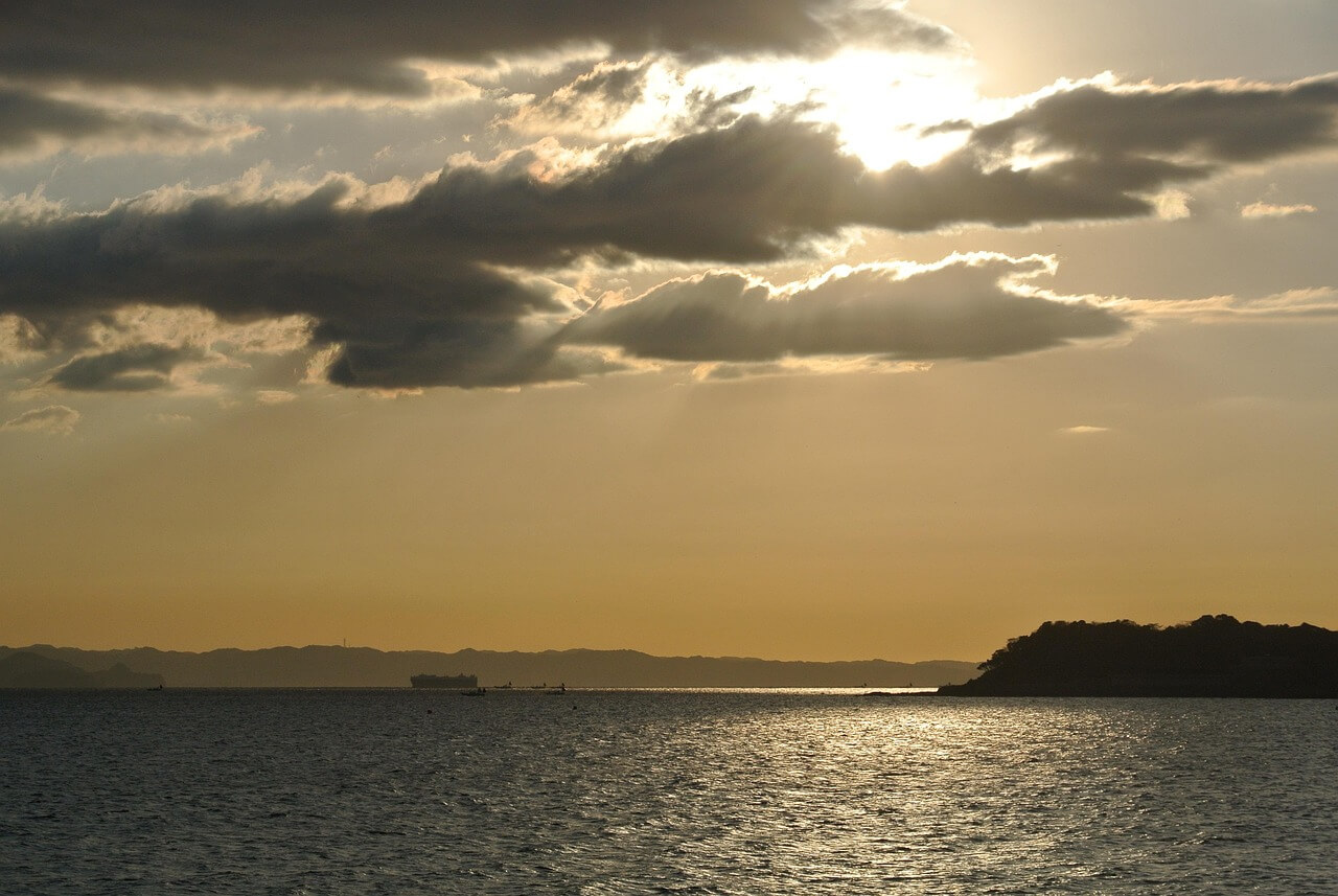 팔로워 실전 팁