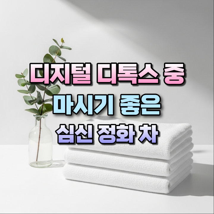 디지털디톡스중마시기좋은심신정화차