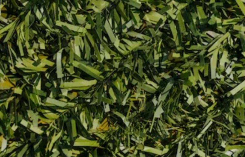 실내공기질 관리법 일부개정법률안 조정 사항 국회 회의