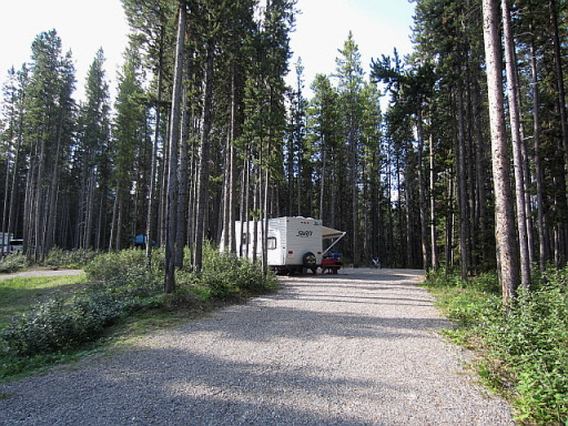 울창한 숲속에 위치한 캠핑장, 자갈길에 트레일러 캠핑카가 세워져 있음.
