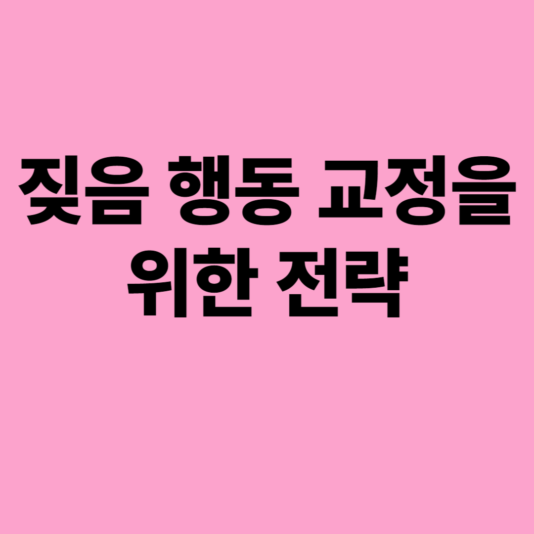 우리 강아지 문제행동 극복하기 분리불안과 과도한 짖음 해결 가이드!!