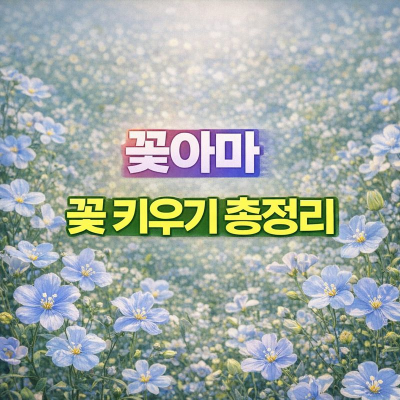 꽃아마 키우기, 꽃말&middot;물관리&middot;파종시기&middot;번식&middot;분갈이&middot;가지치기&middot;월동 썸네일