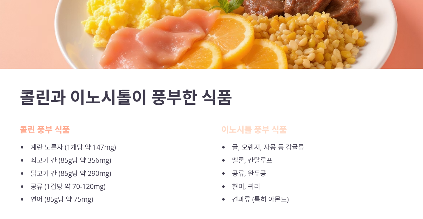 콜린 이노시톨 구매 최종 점검!