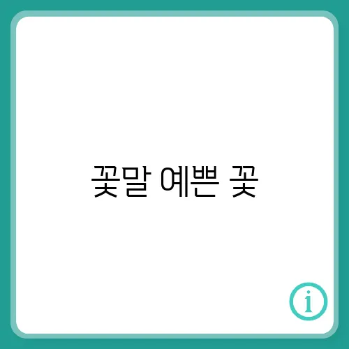 꽃말 예쁜 꽃, 꽃말 모음 알아보기