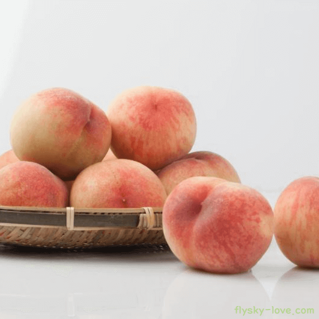 복숭아 효능