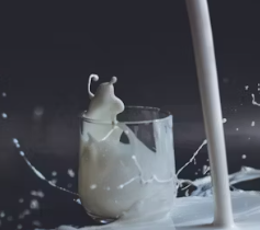 뼈 건강에 좋은 음식 10