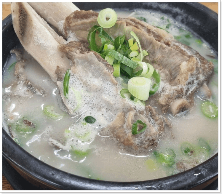 오늘N 인삼 보양식 갈비탕 양념구이 인삼 탕수 주문 위대한 일터