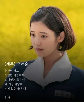 폭삭 속았수다 뜻과 실제 사용 예시_6