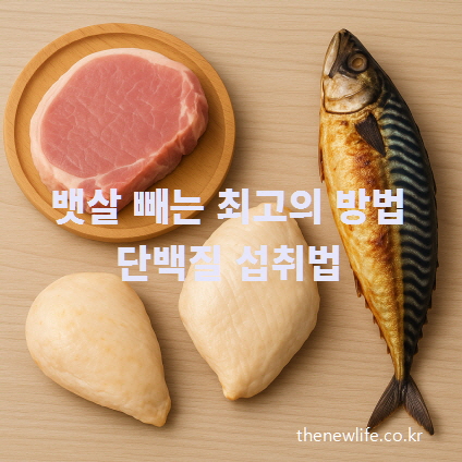 나무 테이블 위에 진열된 단백질 식품 – 돼지고기, 닭가슴살, 고등어가 뱃살 빼는 최고의 음식으로 체중 감량에 도움을 주는 주요 단백질 식품으로 소개됨.