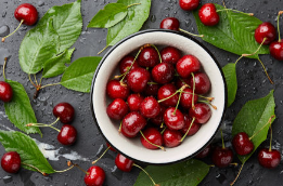 개가 체리를 먹어도 괜찮을까?