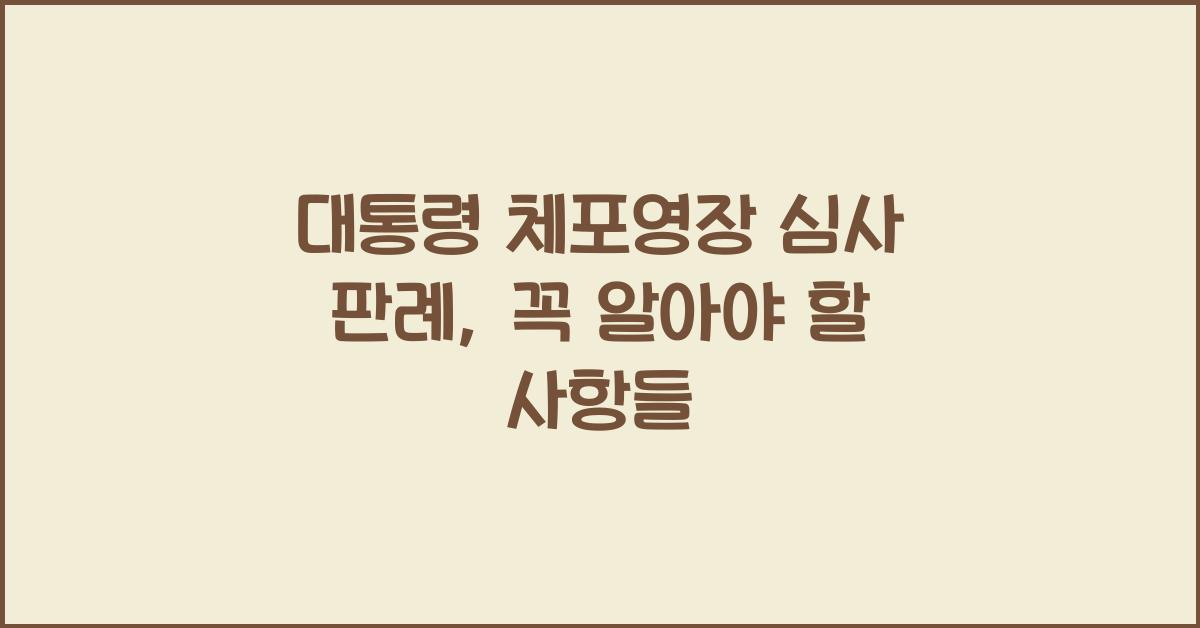 대통령 체포영장 심사 판례