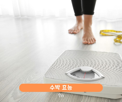 수박 효능