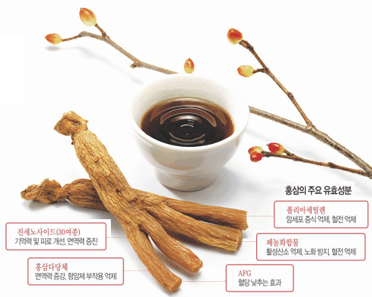 홍삼의 성분