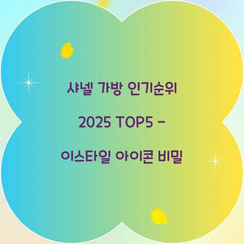 샤넬 가방 인기순위