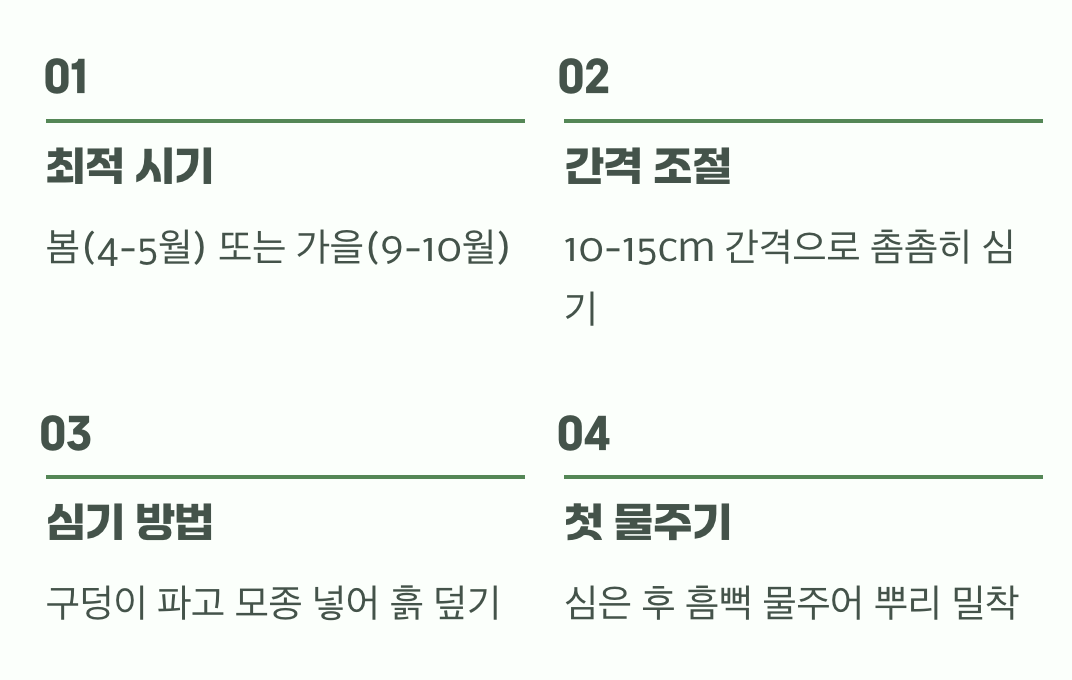 성공적인 첫걸음, 옮겨 심기