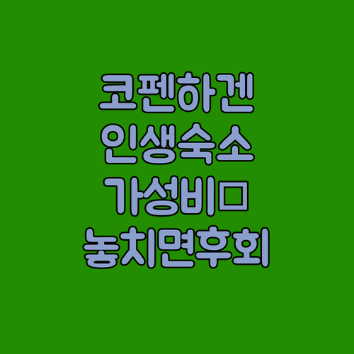 코펜하겐 숙소 추천 TOP 5 위치 ..