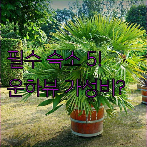 암스테르담 여행 스타일별 숙소 5곳 ..