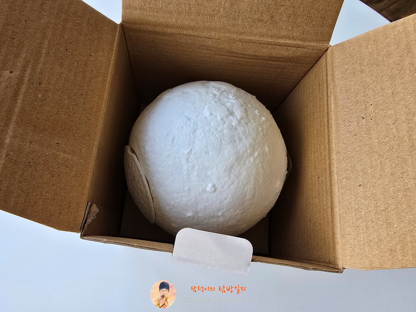 듀플렉스 보름달 무드등 가습기 DP-13MH