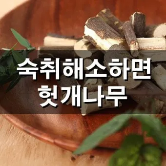 헛개나무 효능 10가지 건강에 좋은 식물 정보_6