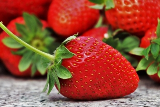 면역력을 높이는 최고의 방법! 감기 없이 건강하게 사는 법