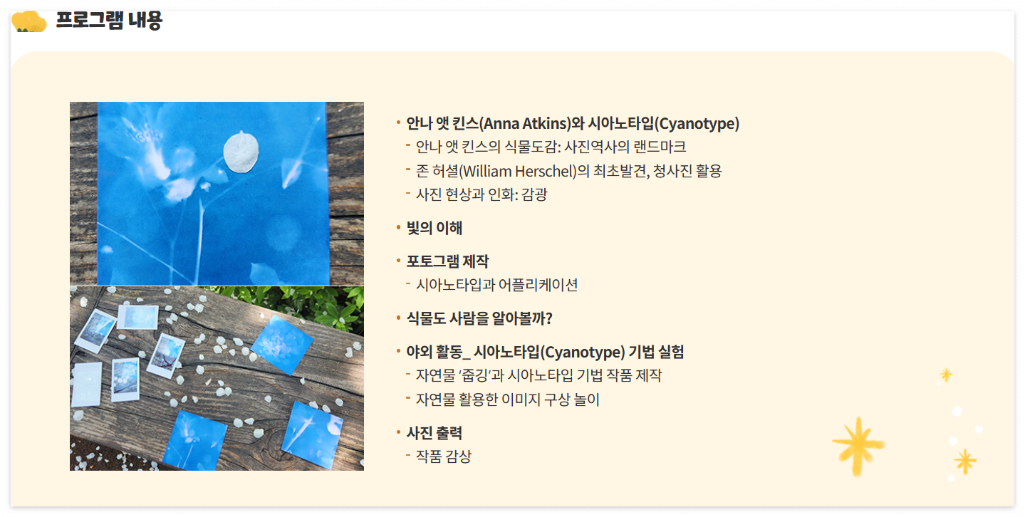 시아노타입 기법