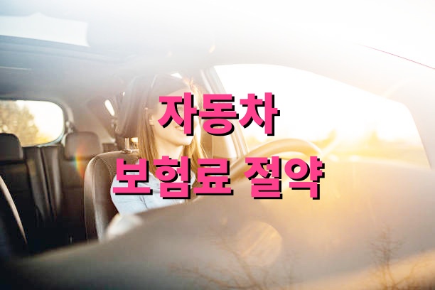 자동차 보험료 절약