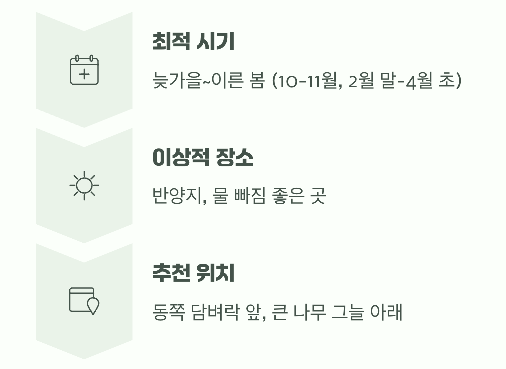 최고의 시기와 장소 고르기