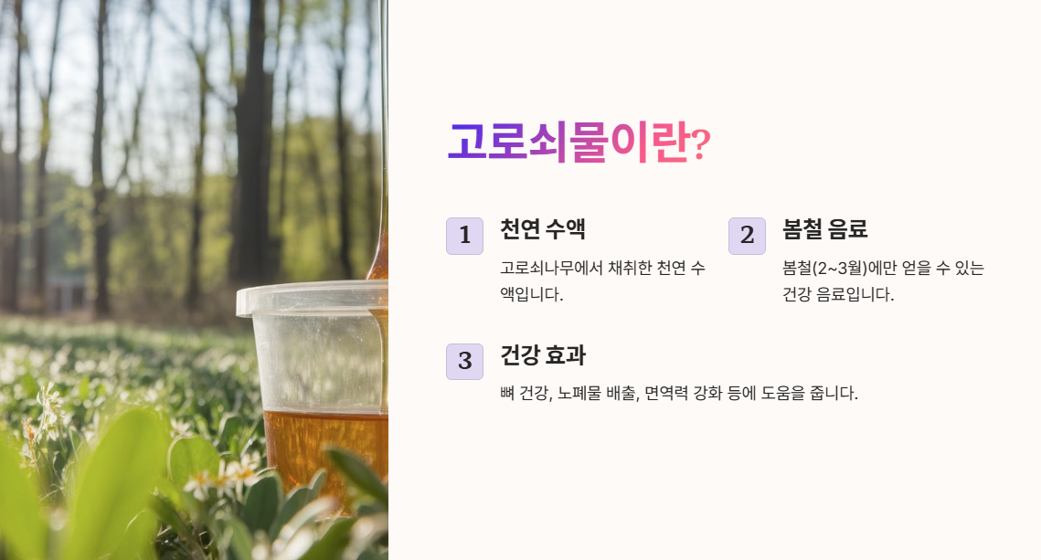 고로쇠물에 대한 설명