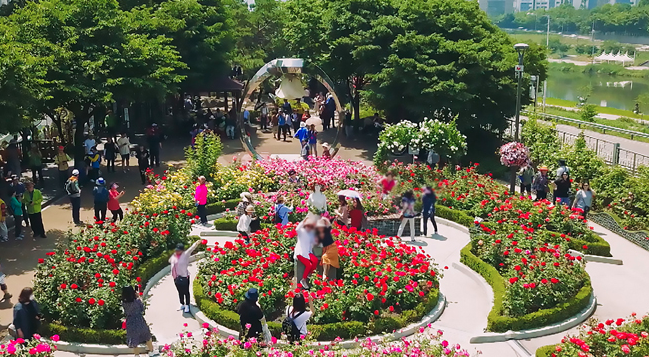 2025 중랑 서울장미축제