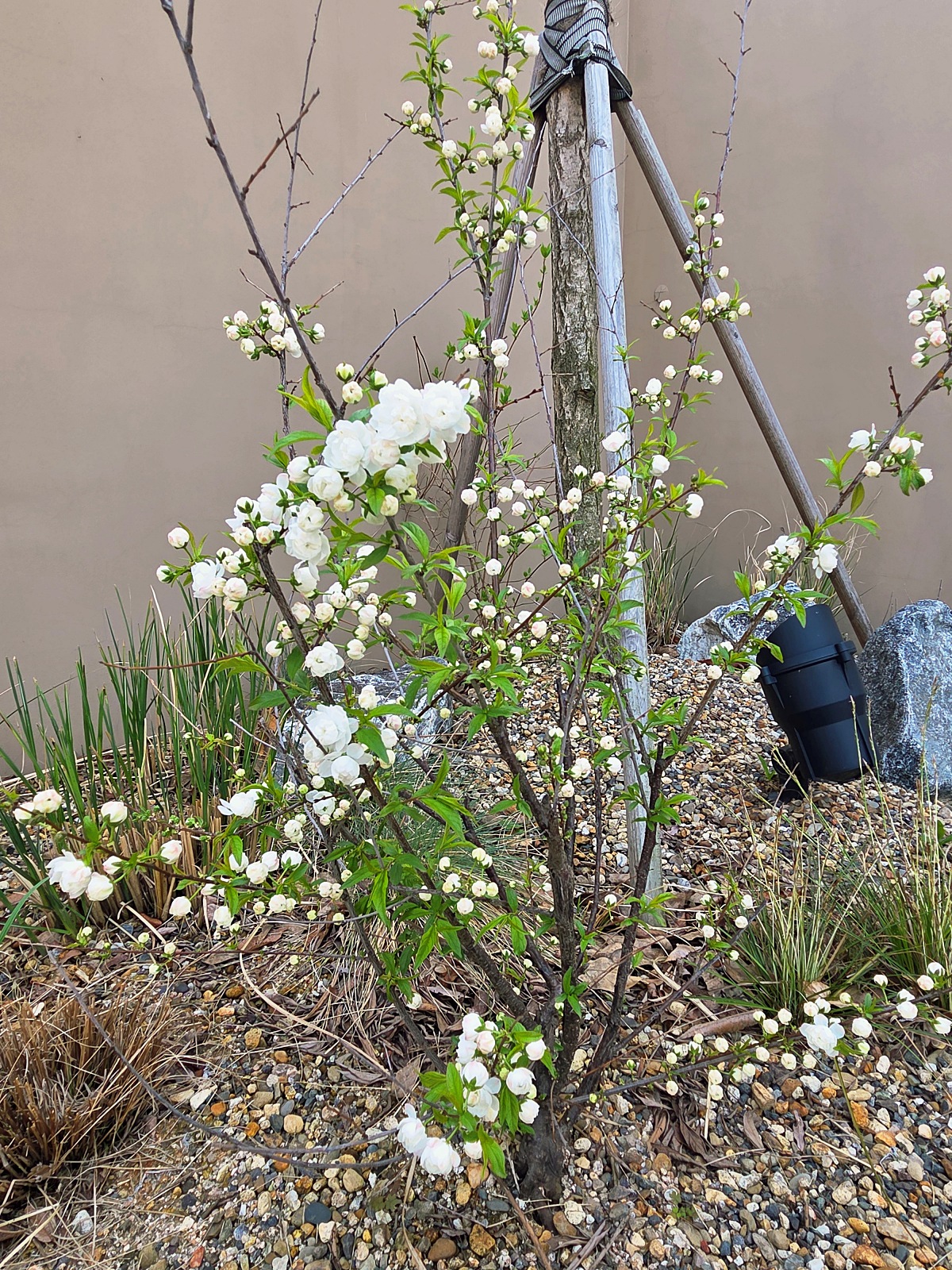 인천 검단 감성 브런치 카페 온안: 모던하고 따스한 분위기 맛집