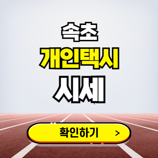 속초 개인택시 면허 시세 조회하기 ❘ 번호판 가격 실시간 보기 ❘ 매물정보