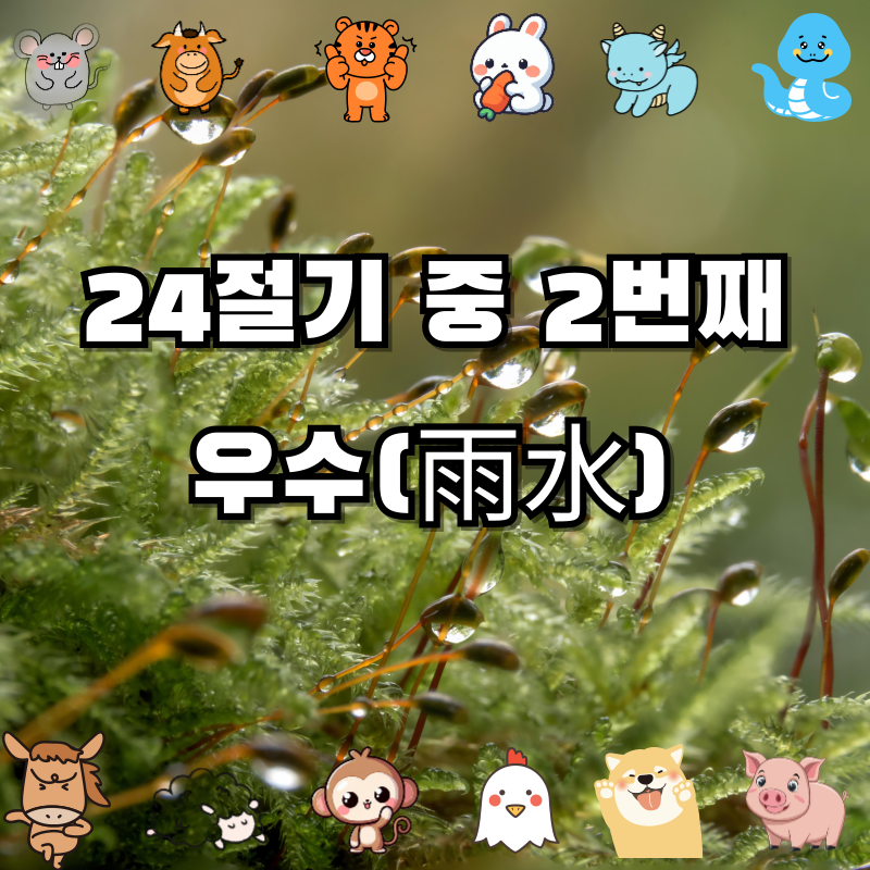 우수(雨水) ❘ 봄비가 대지를 적시는 24절기 🌧️ 봄의 시작을 알리다