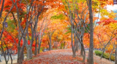 춘천가볼만한곳이미지