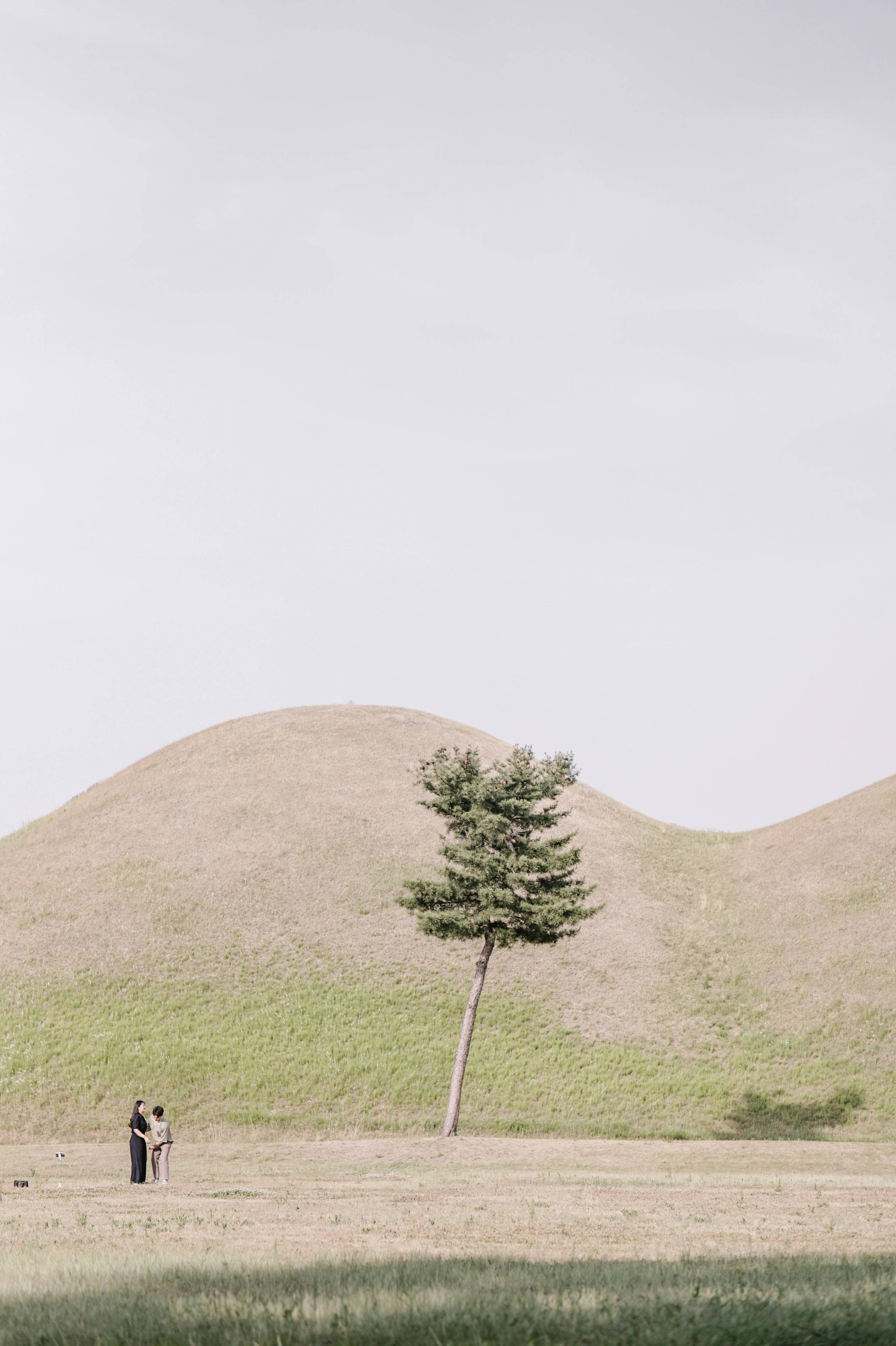 APEC 뜻 완벽 정리|아시아태평양경제협력체란? 21개국이 함께 만드는 세계 경제 협력의 중심
