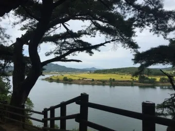 상주 가볼만한곳 맛집 추천 카페 겨울 베스트 10_4