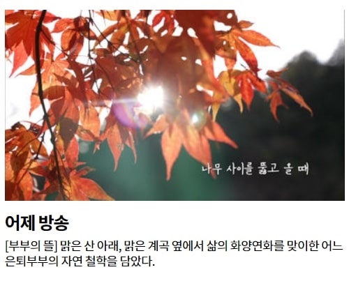 다큐멘터리 프로그램 자연의 철학자들 2회 방송내용