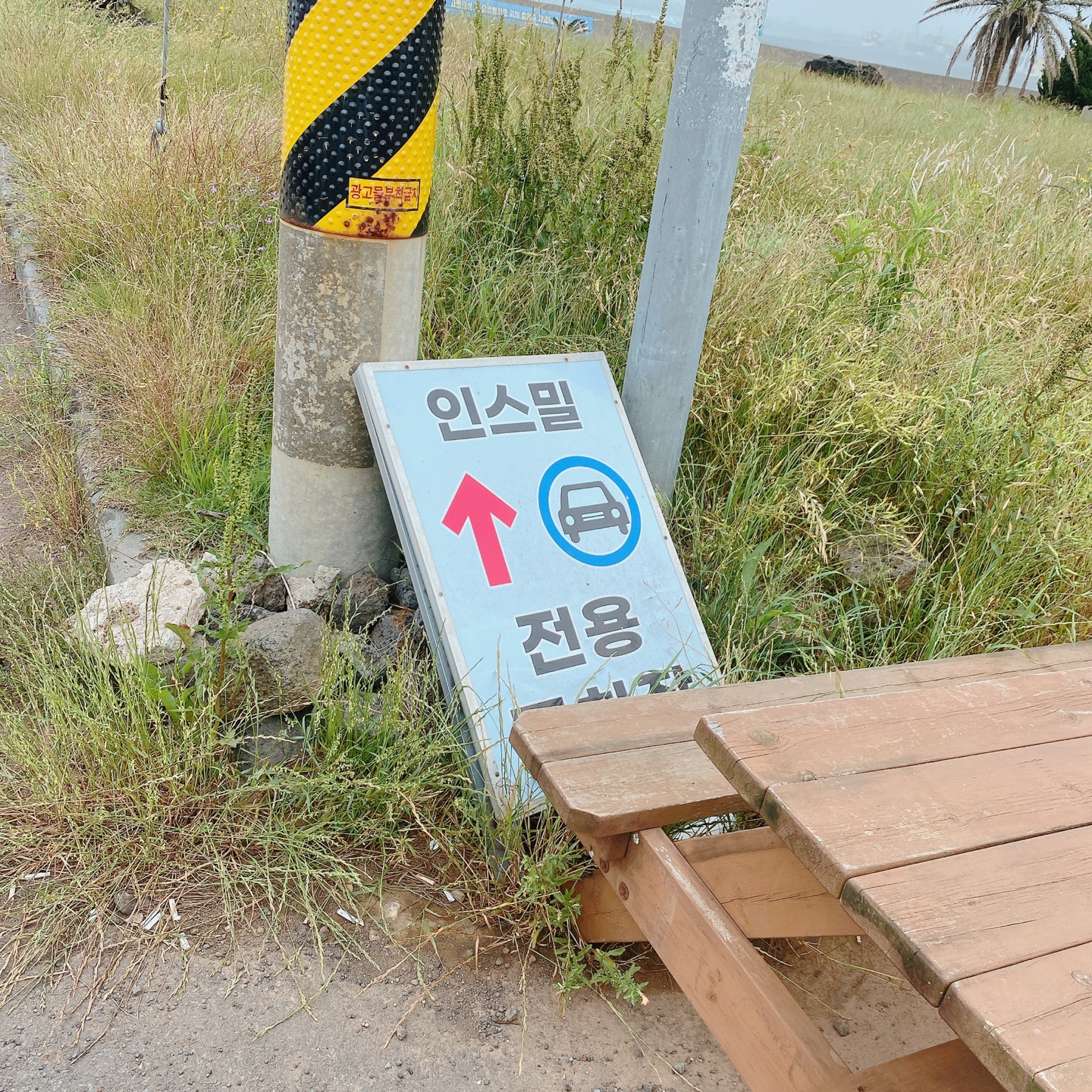 제주 서귀포 대정 서림연대 인스밀 곡물창고 개조카페 in's mill 보리개역 보리 청보리 제주 특산물