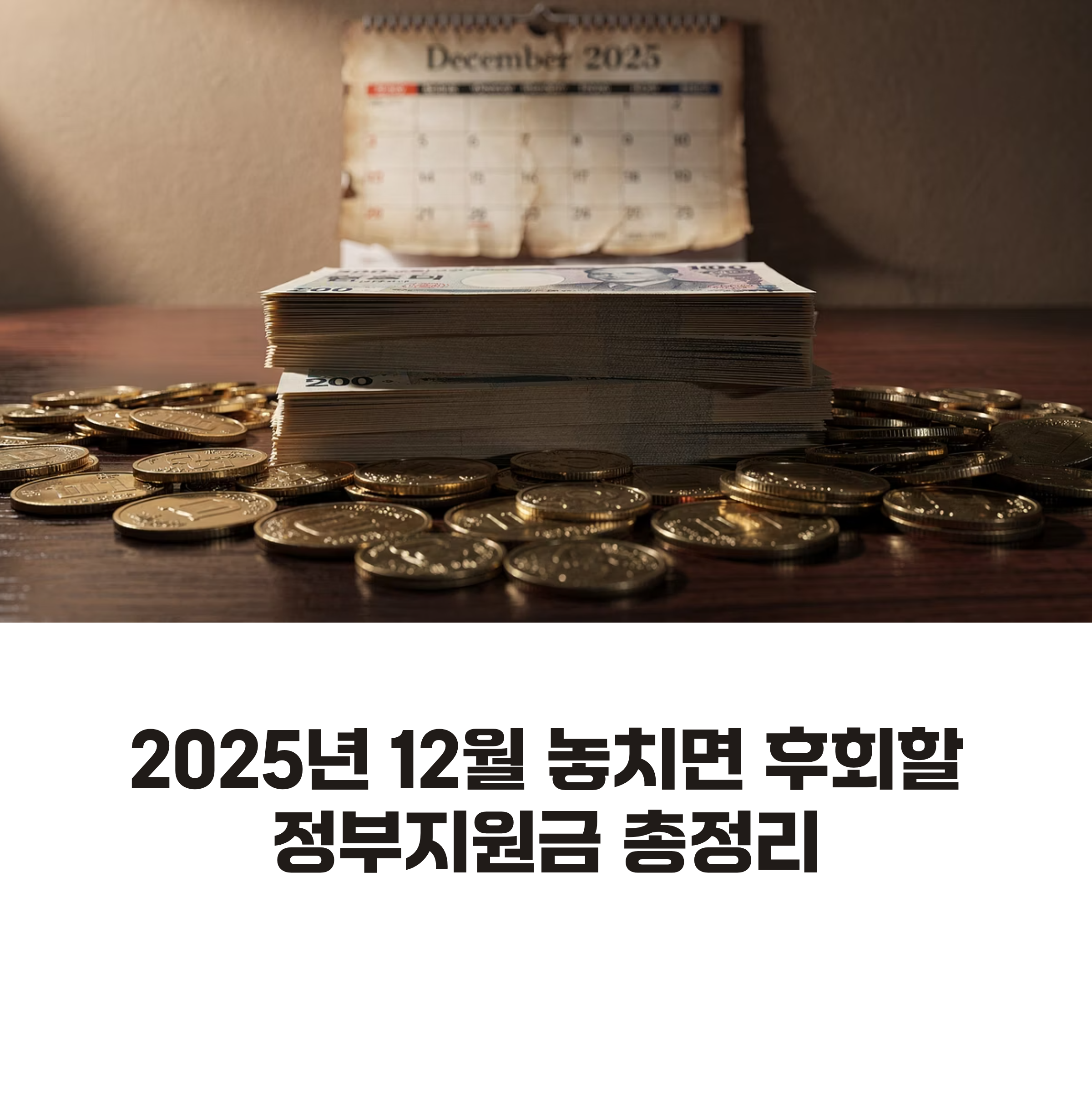 2025년 12월 정부지원 TOP 5