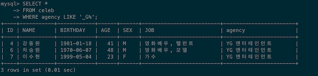 SQL LIKE 연산자 _ 패턴