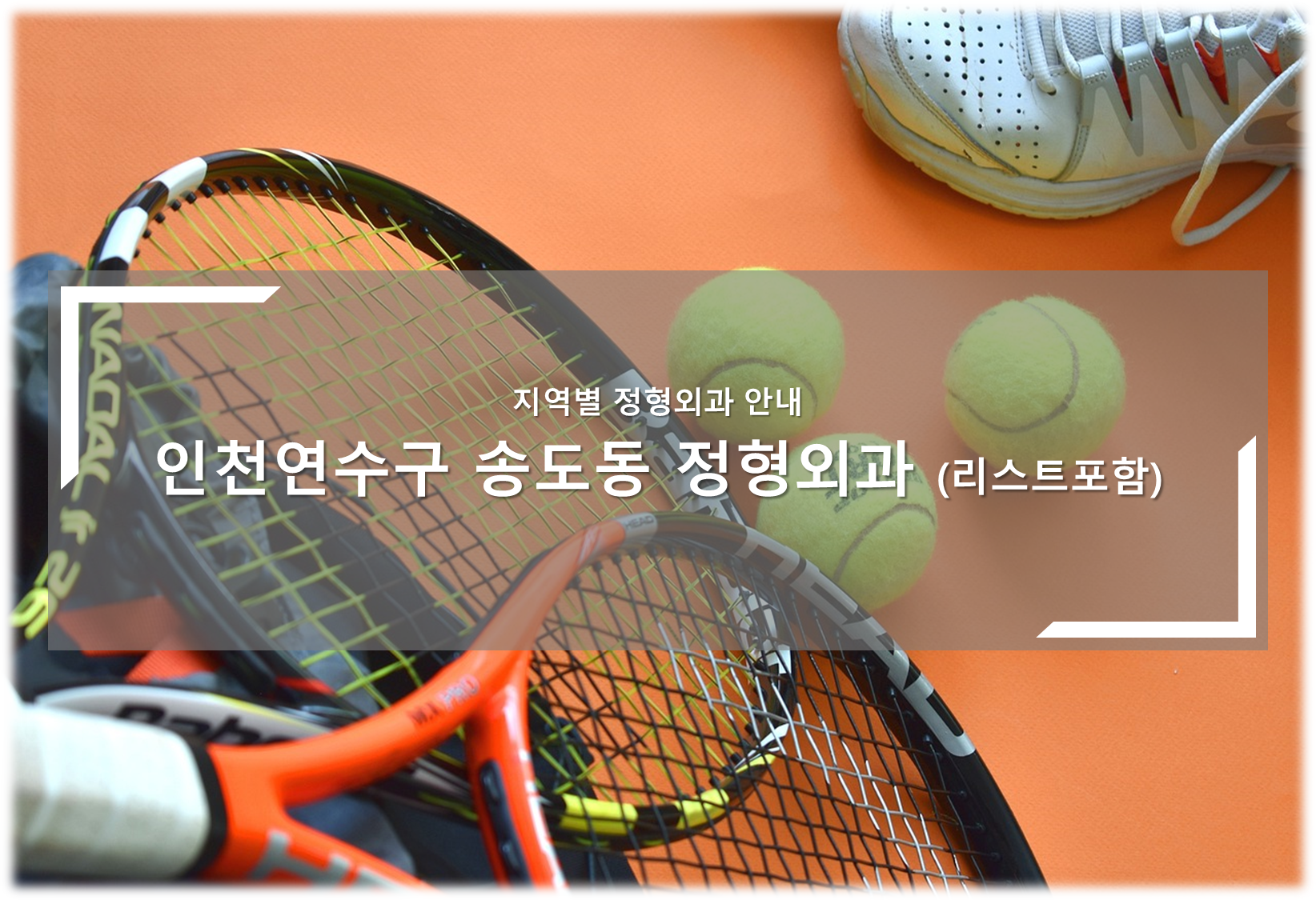 인천연수구 송도동 정형외과 안내