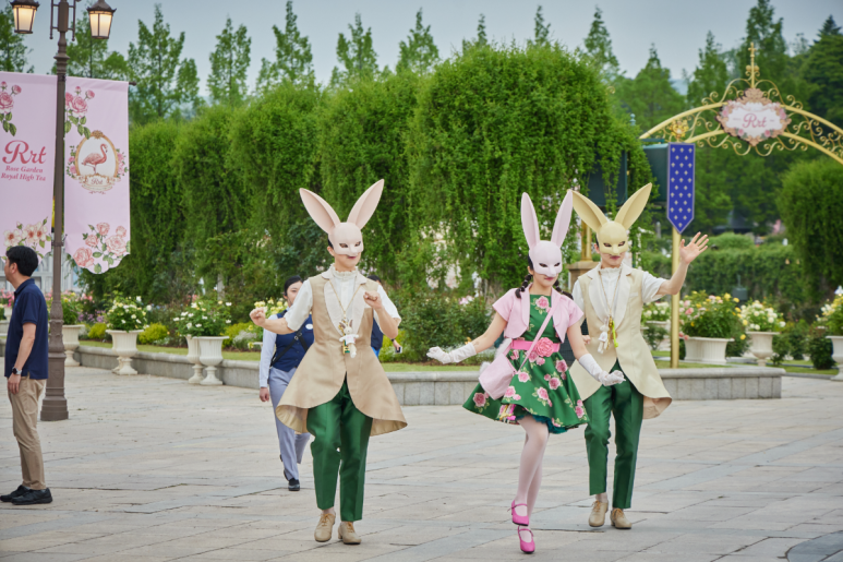 에버랜드 로로티 장미축제