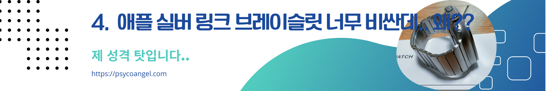 애플 링크 브레이슬릿 타이틀